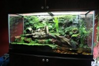 Reptile-Terrarium-1-300x200_200x200