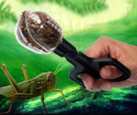 reptielentang3