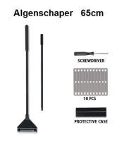 algebschaper