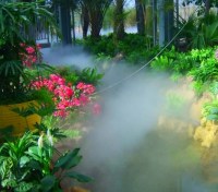 mist5